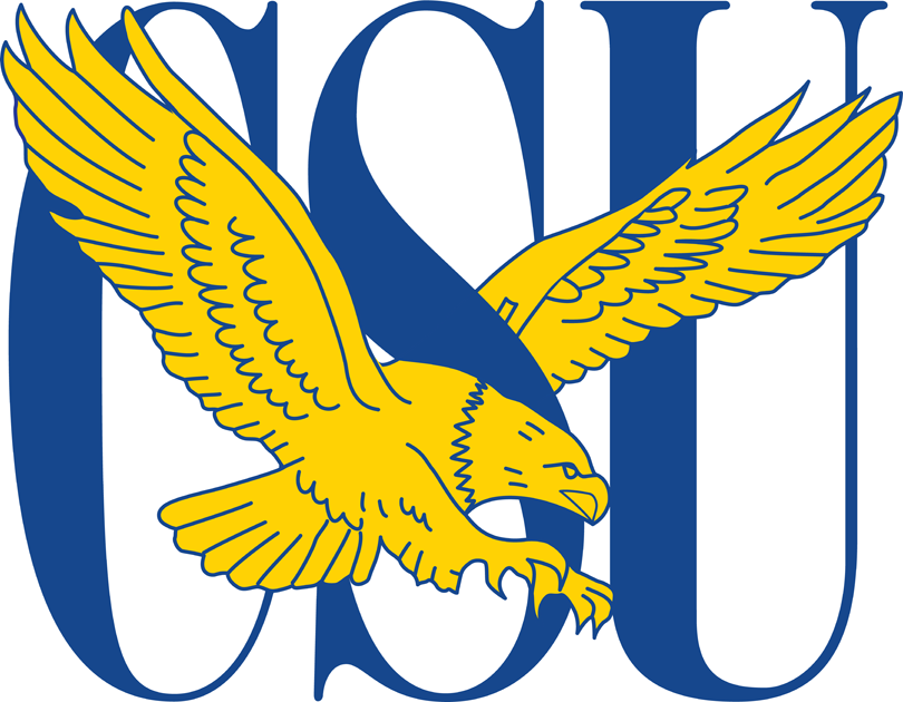 Coppin State Eagles 2004-2016 Primary Logo diy iron on heat transfer